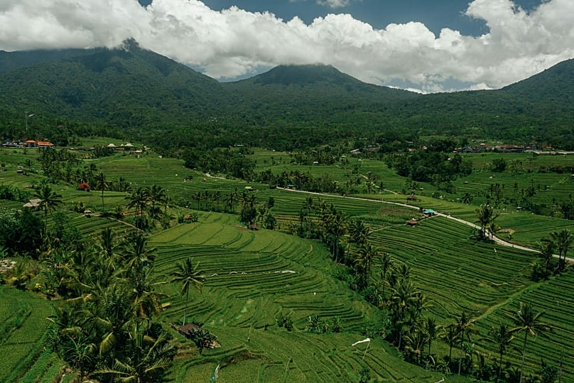 Aerial view of rice paddy fields in Indonesia