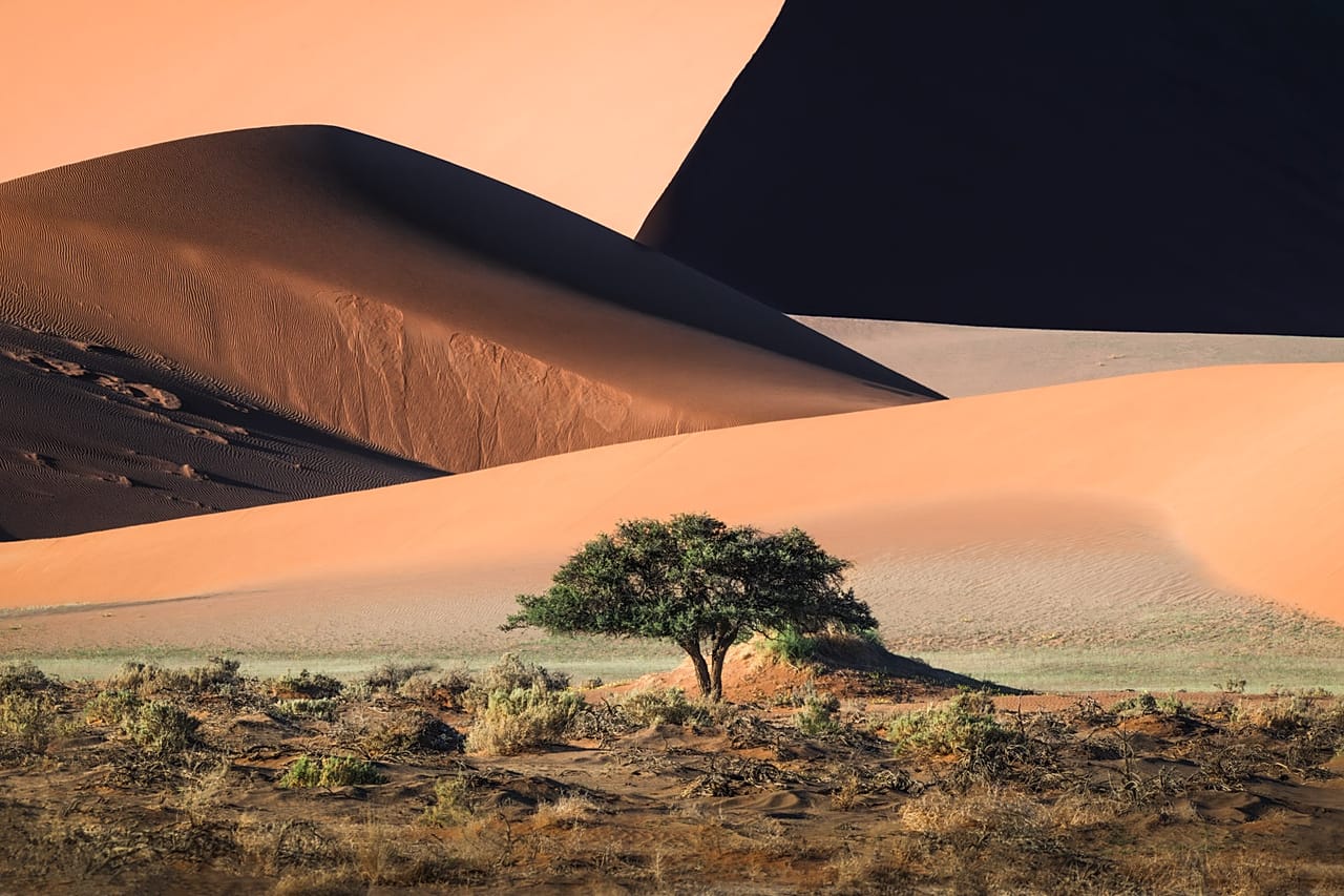 Shapes and Patterns of the Desert: A study of the geometric composition and the rich, warm colours of the Sossusvlei dunes in Namibia.