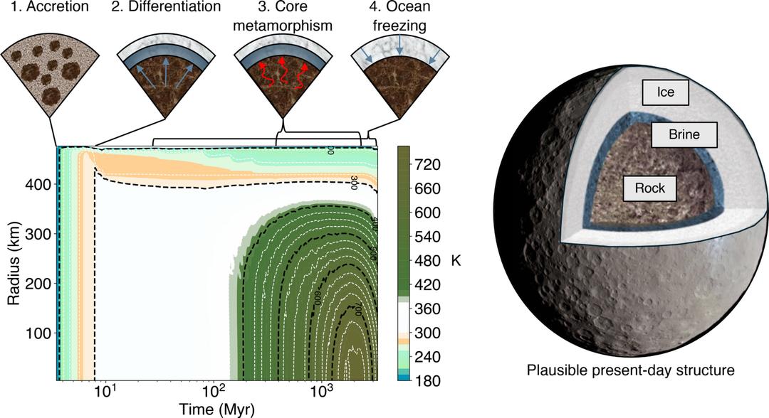 Schematische Darstellung des Kerns von Ceres mit erwärmtem Untergrund-Ozean