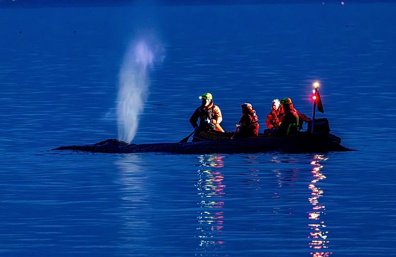 Rescue workers try to bring a whale stranded on the Baltic Sea coast back into deep water, near Timmendorfer Strand, Germany, Monday, March 23, 2026.