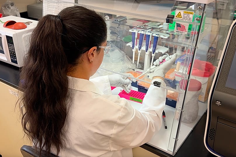 A researcher and doctoral candidate prepares samples of inactivated material as part of hantavirus research in Albuquerque, 4 May, 2026