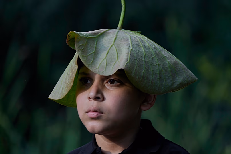 A boy covers his head with a lotus leaf to protect himself from the sun. 25 June 2026, at Dal Lake on the outskirts of Srinagar in Indian-administered Kashmir.