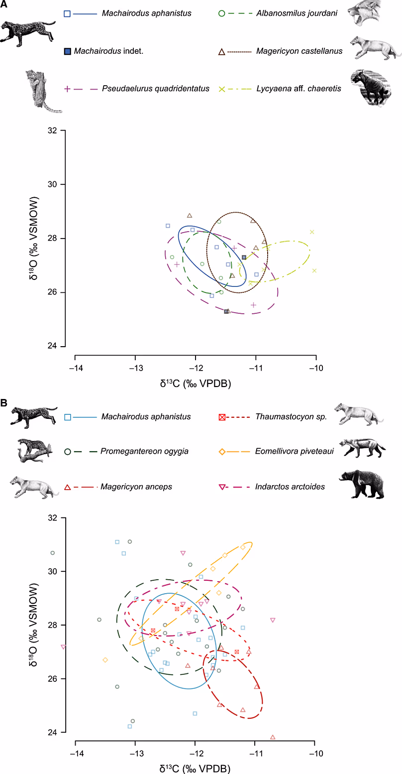Carnivores from the Miocene period in the area