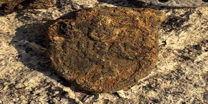 Kuban sleeve shield: the decoration, instituted in 1943, was awarded to German soldiers deployed at the Kuban bridgehead on the Eastern Front.
