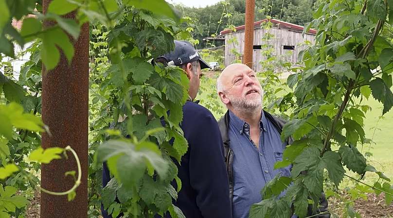 Agri-PV pioneers Bernhard Gruber and Josef Wimmer on a site visit in the hop garden.