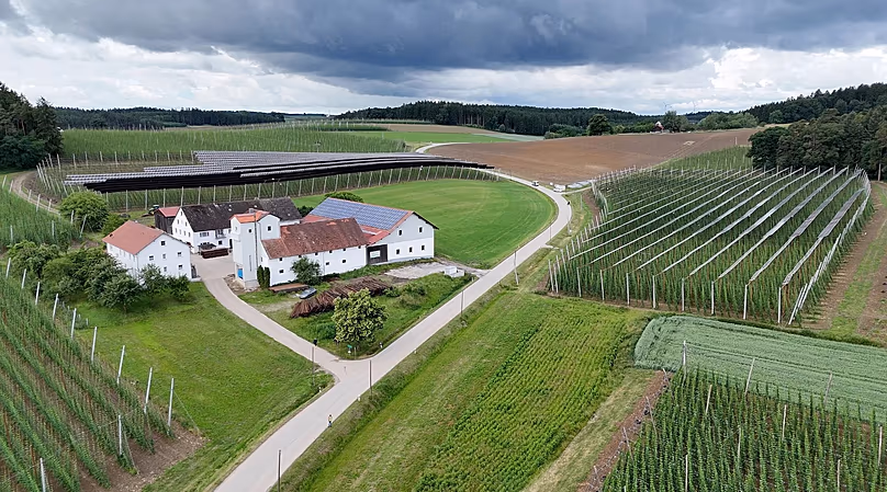 Agri-PV makes hop growing in the Hallertau more resilient to climate change and global warming.