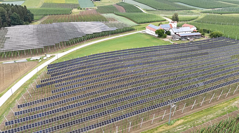 Josef Wimmer’s hop farm is known throughout the region: the state-of-the-art agri-PV installation attracts visitors from all over Bavaria.